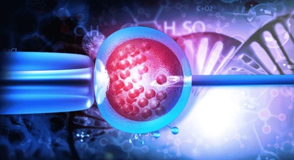 ivf in south core toronto